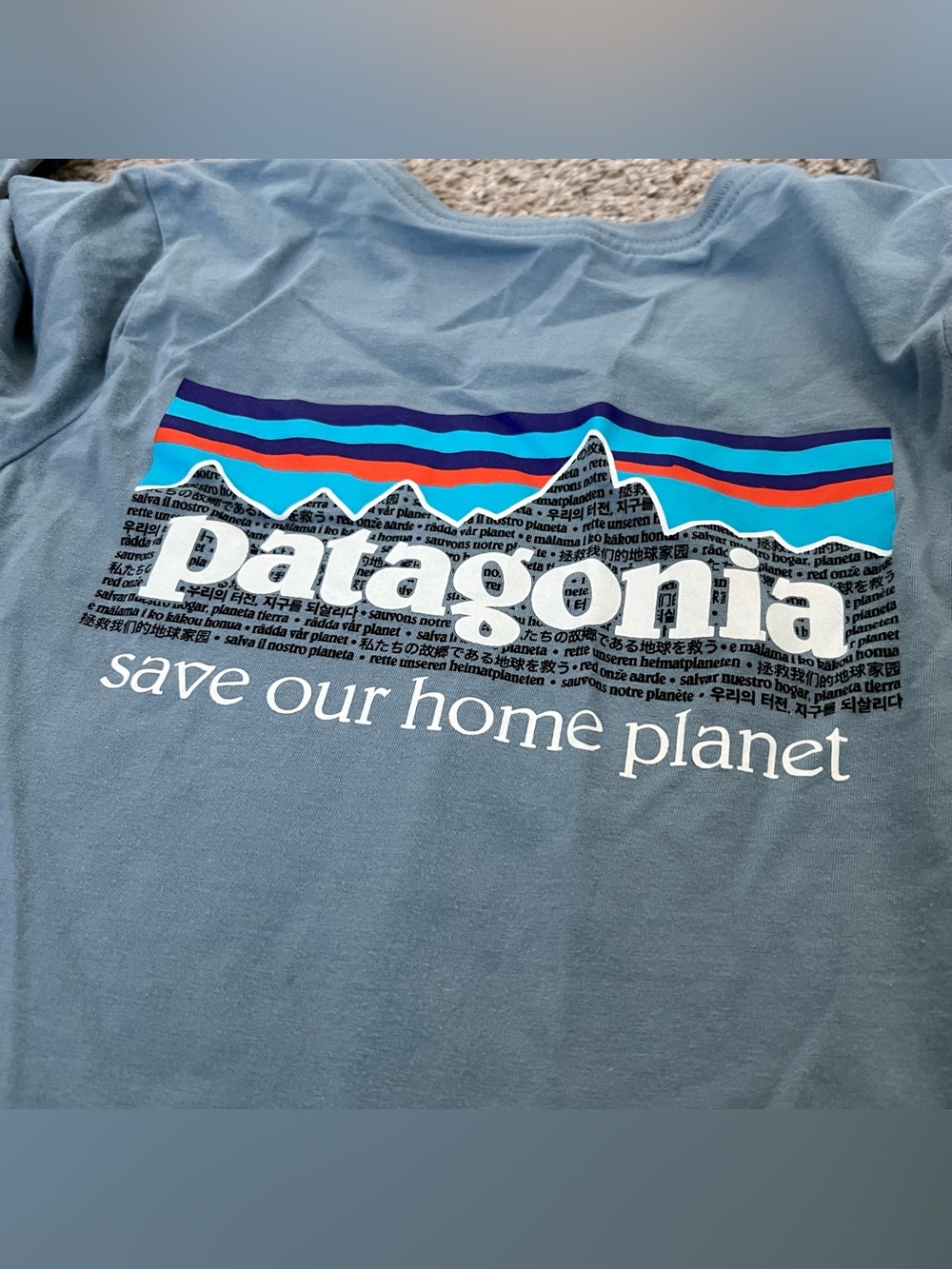 Patagonia Organic Blue Graphic 'Save Our Home Planet' Long Sleeve Tee Size 12
